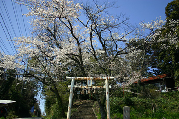 木の根神社
