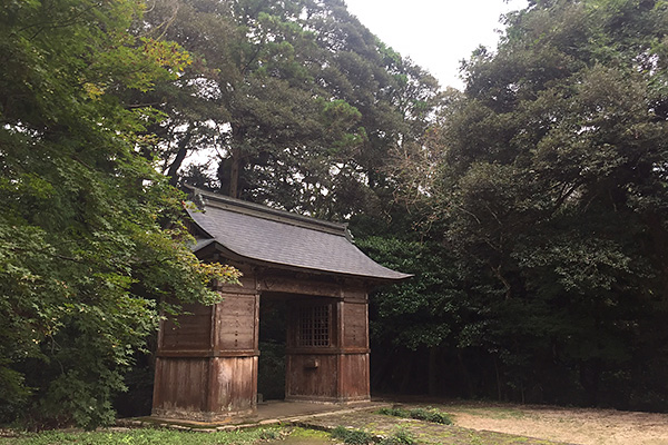 長田神社の森
